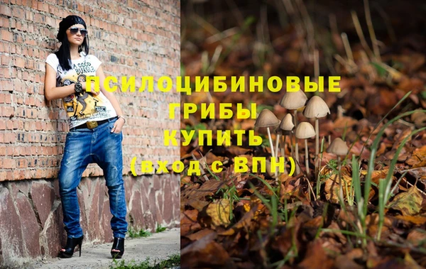 твердый Михайловка