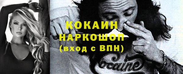 твердый Михайловка