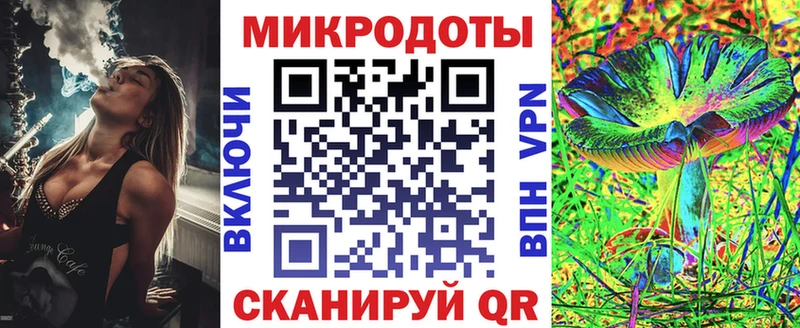 Галлюциногенные грибы Cubensis  Цоци-Юрт 